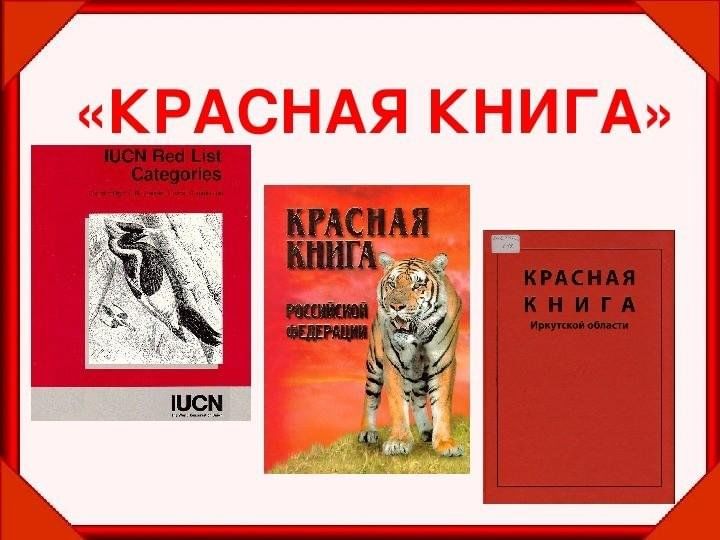 Как выглядит красная книга презентация