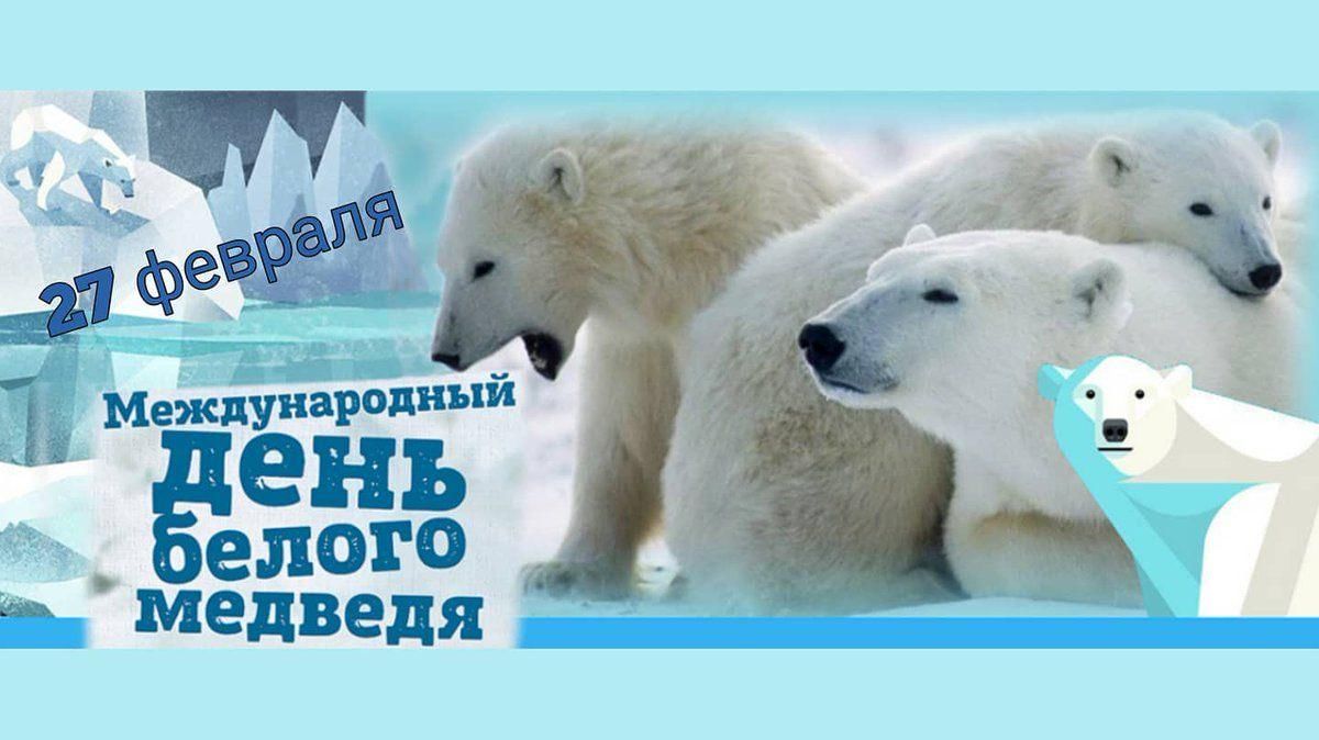 День белого медведя фото