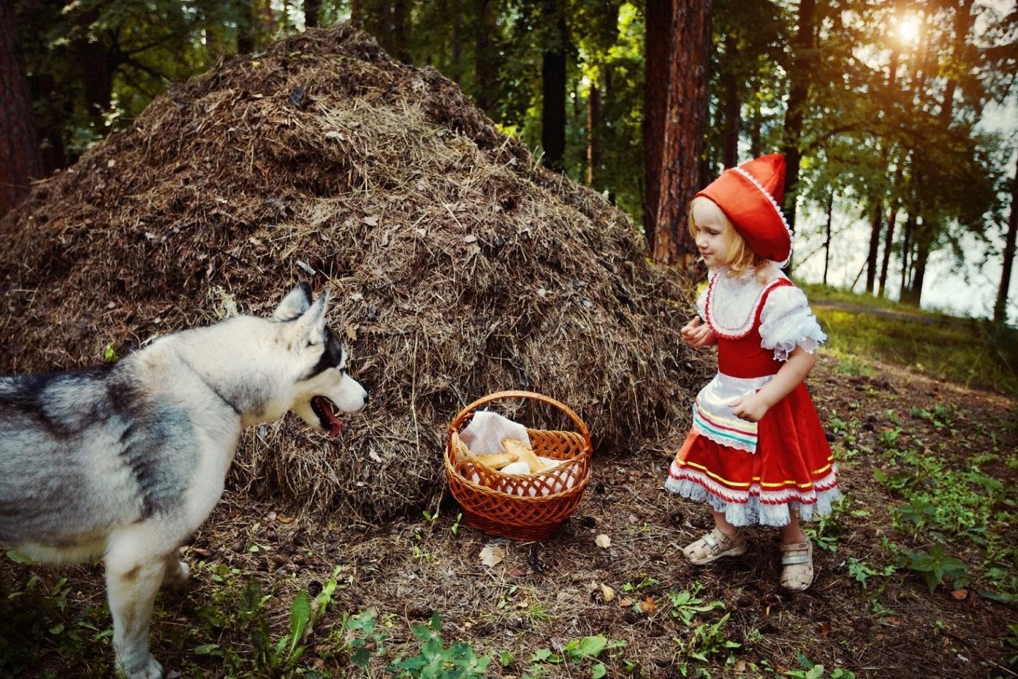 Красная шапочка фото из сказки