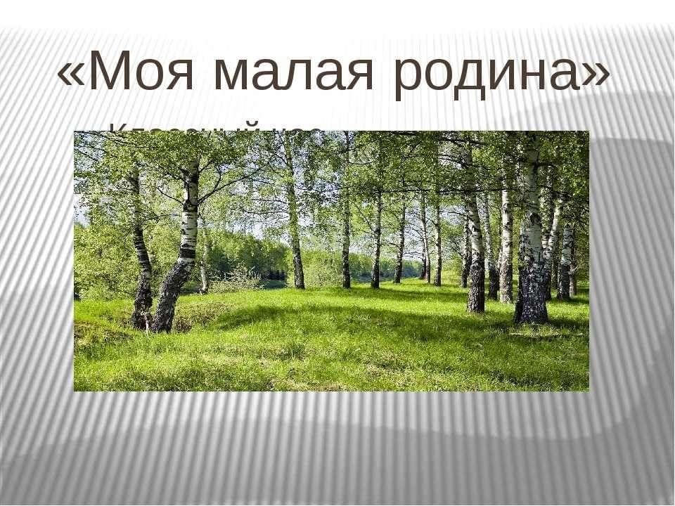 Моя малая все песни. Конкурс мая малаяродина. Моя малая все песни. Стихотворение про родной город. Моя малая все песни.