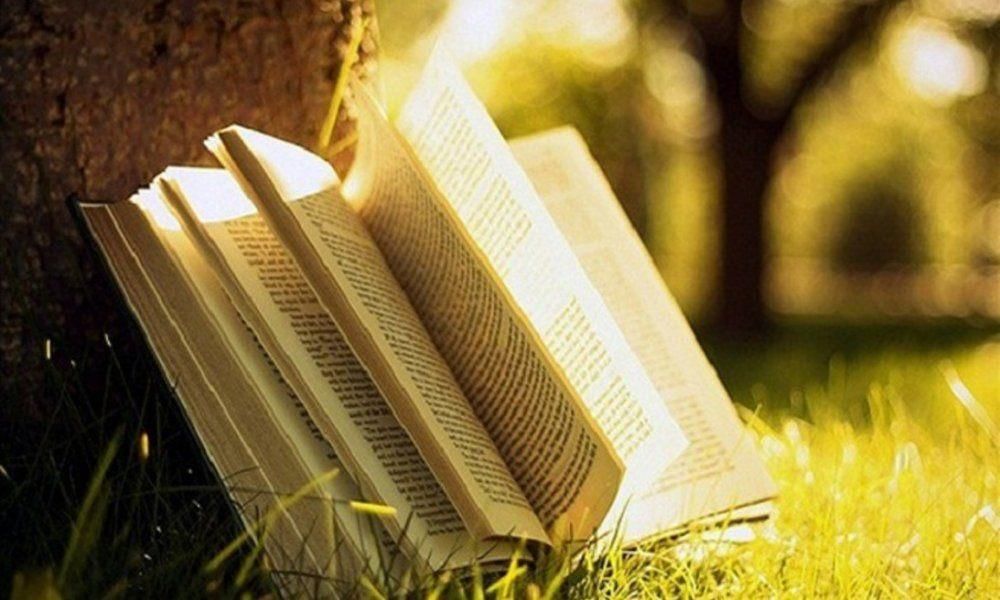 Лето книги картинки