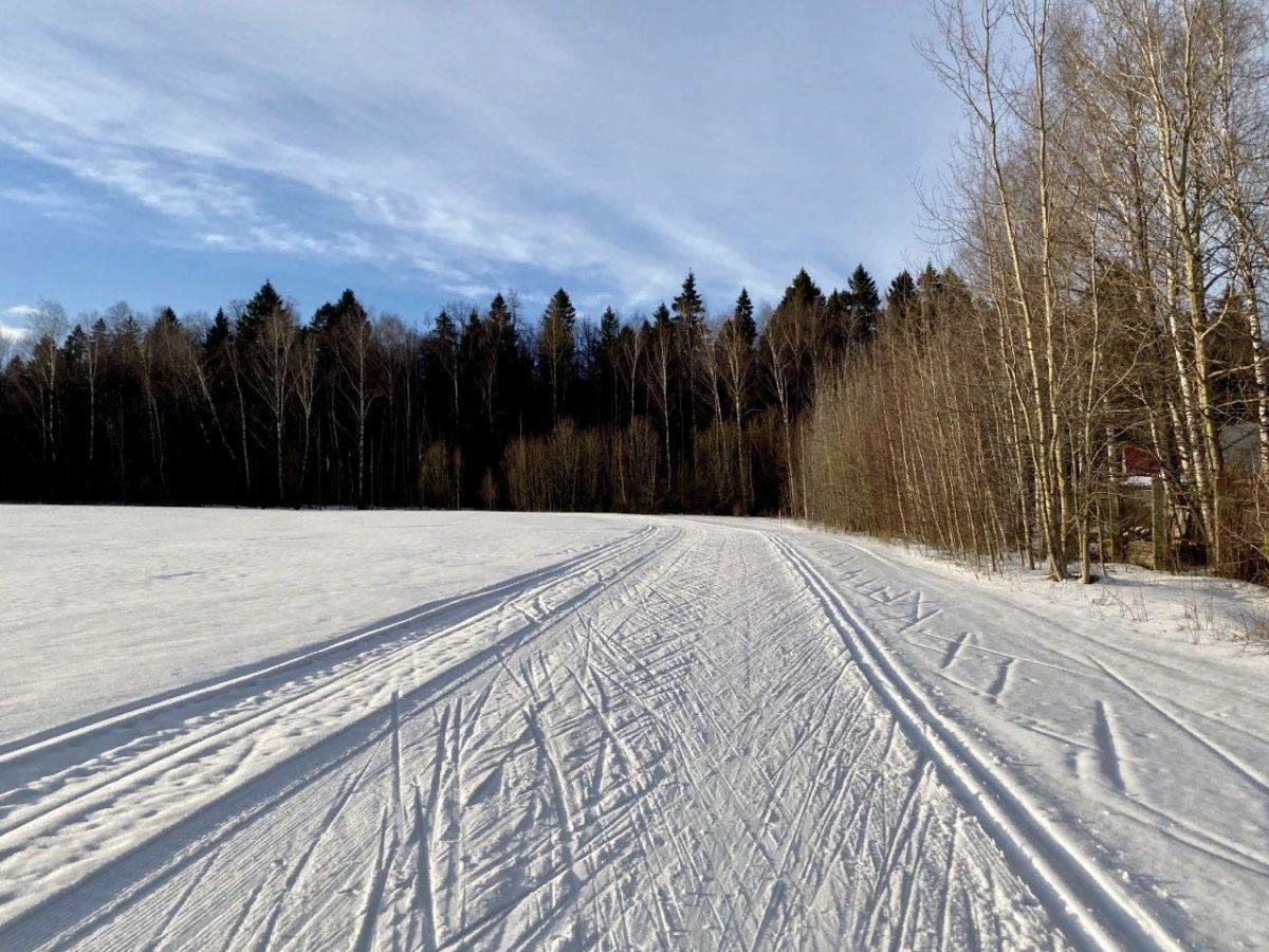 Лыжная трасса Белояровка