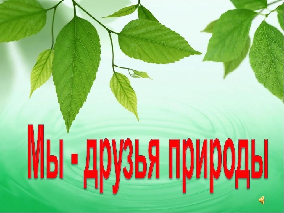 Природа наш друг картинки