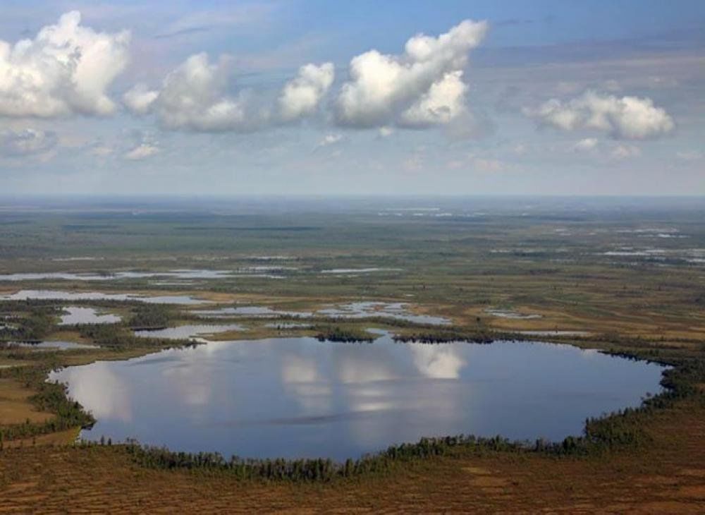 Западно Сибирская равнина Васюганское болото. Васюганские болота Томская область. Большое Васюганское болото, Сибирь. Болото Васюганское болото.