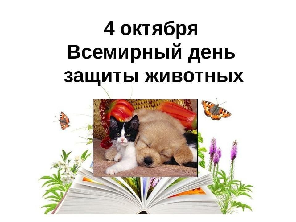 День животных 4 октября картинки