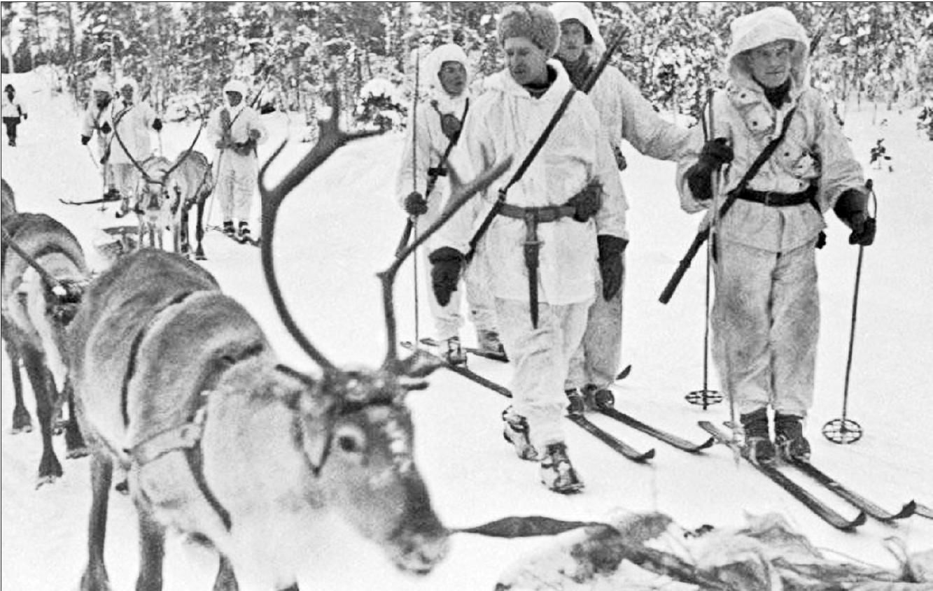 Фото лоси на войне 1941 1945