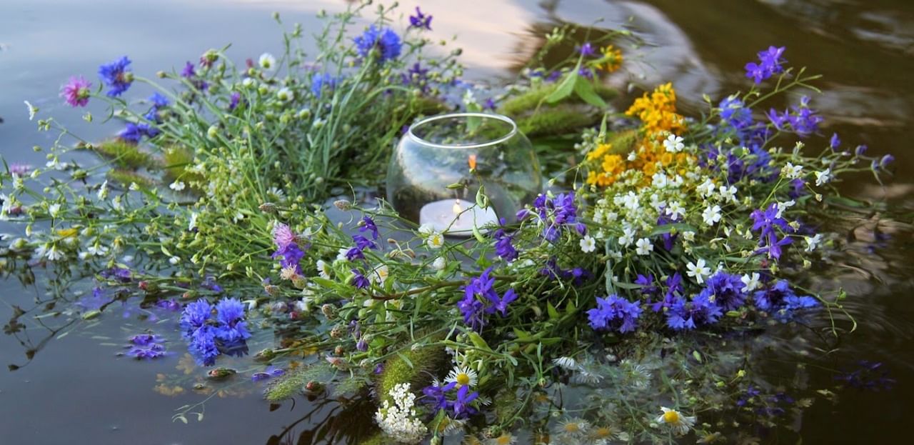 Полевые цветы у воды