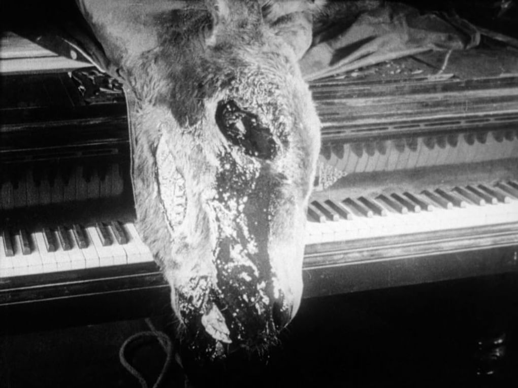 Кадр из короткометражного художественного фильма Луиса Бунюэля «Андалузский пес» (1929)