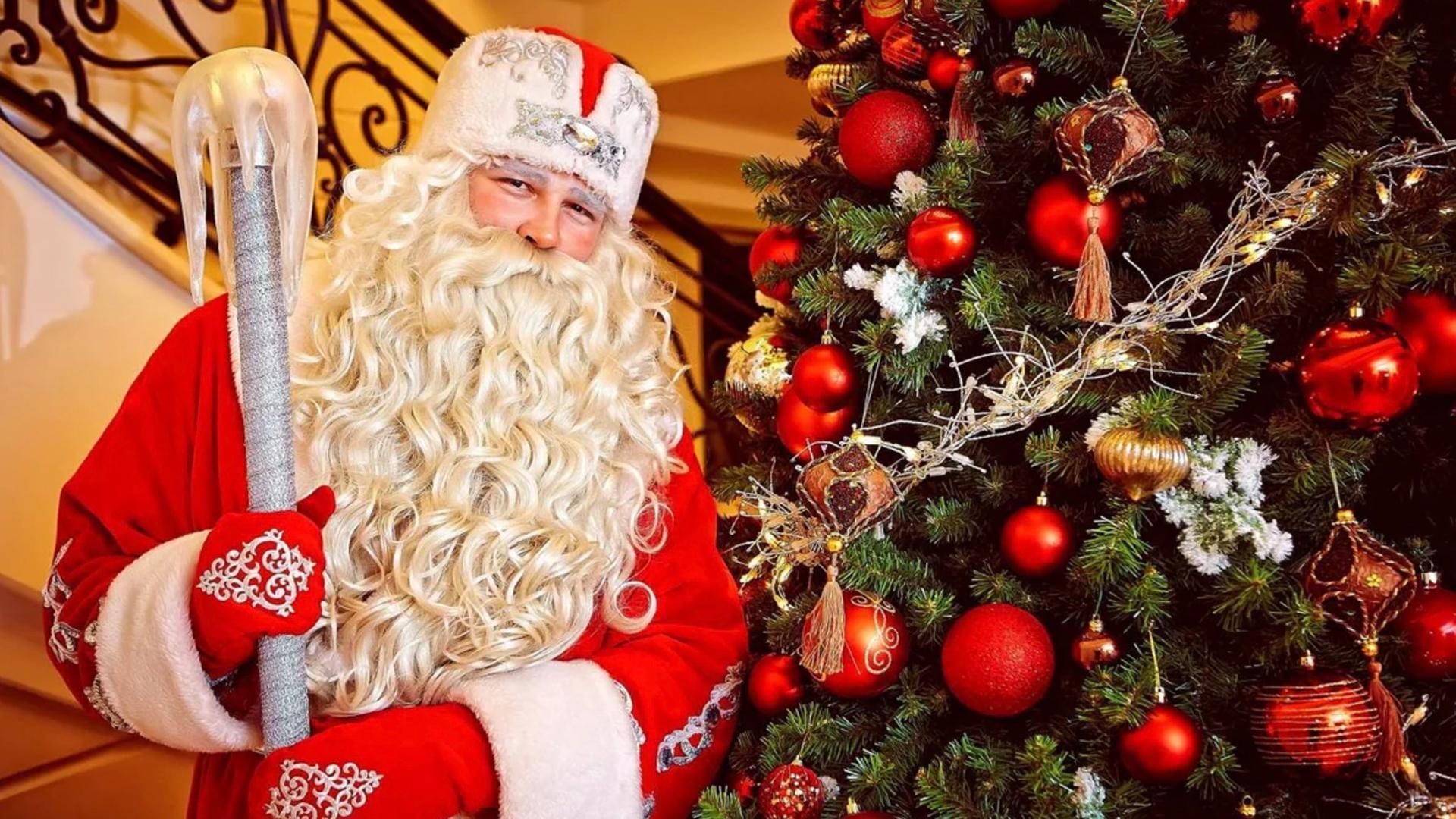 Дед мороз растет. Новый год дед Мороз. Русский дед Мороз. Фотосессия с дедом Морозом. Дед Мороз и елка.