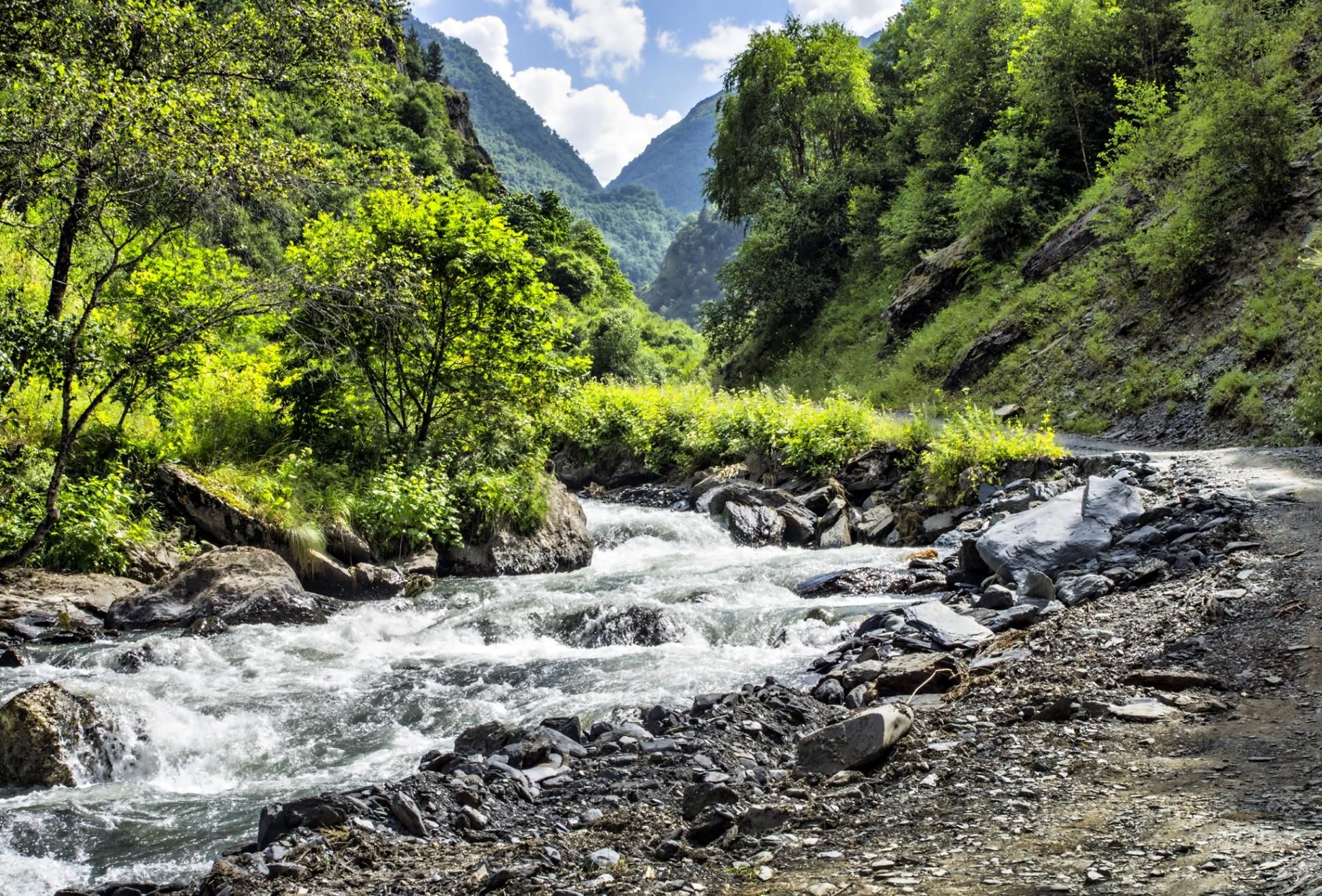 Река терек фото и видео