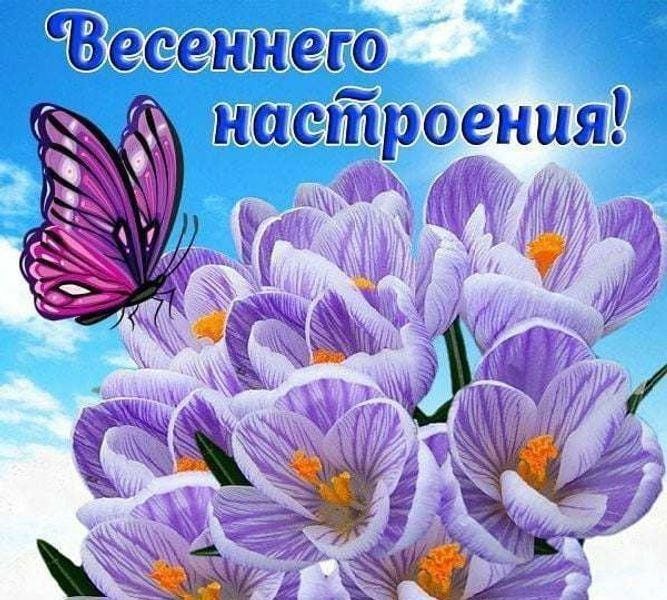 Доброе весеннее хорошего дня. Весеннего настроения пожелания. Открытки весеннего настроения. Хорошего весеннего настроения. Хорошего весеннего дня и отличного настроения.