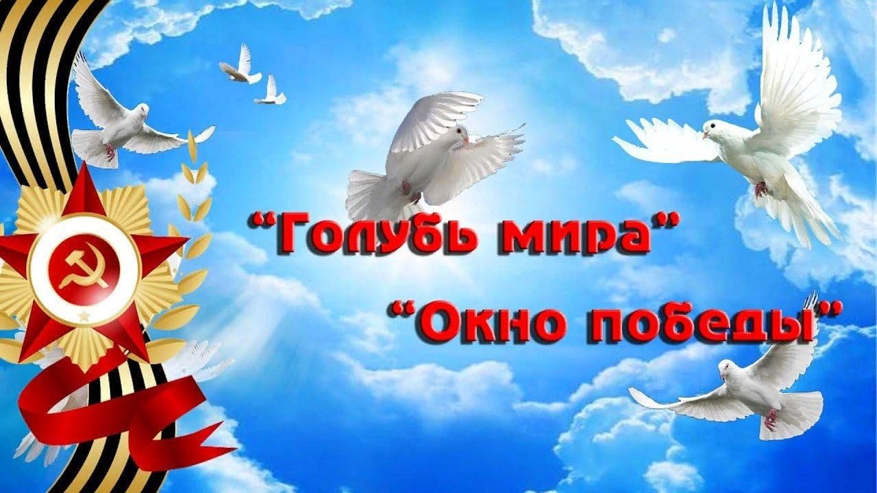 Картинки с голубями на 9 мая