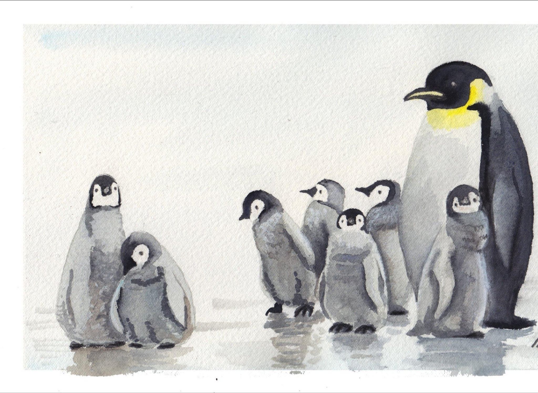 Пингвины в картинах Уильяма Шиммеля