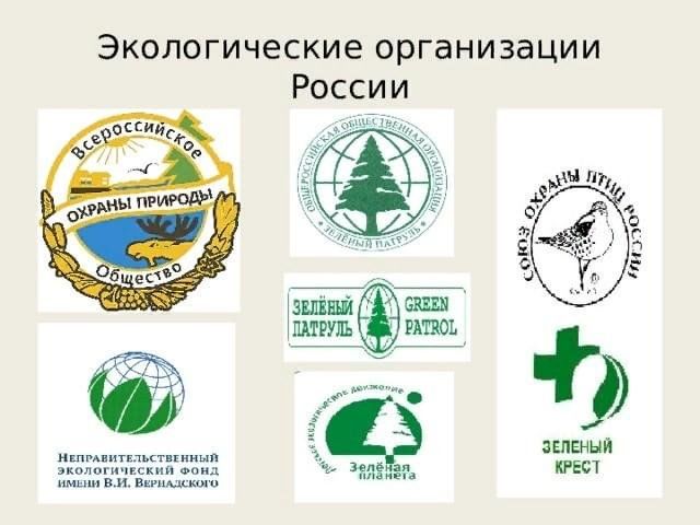 Экологические проекты в россии и их направления