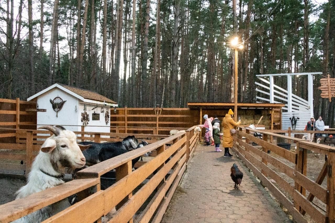 Эко ферма. ЭКОФЕРМА Домодедово. ЭКОФЕРМА В Домодедово в парке елочки. Эко ферма Санкт-Петербург. Эко ферма в Южно-Сахалинске.