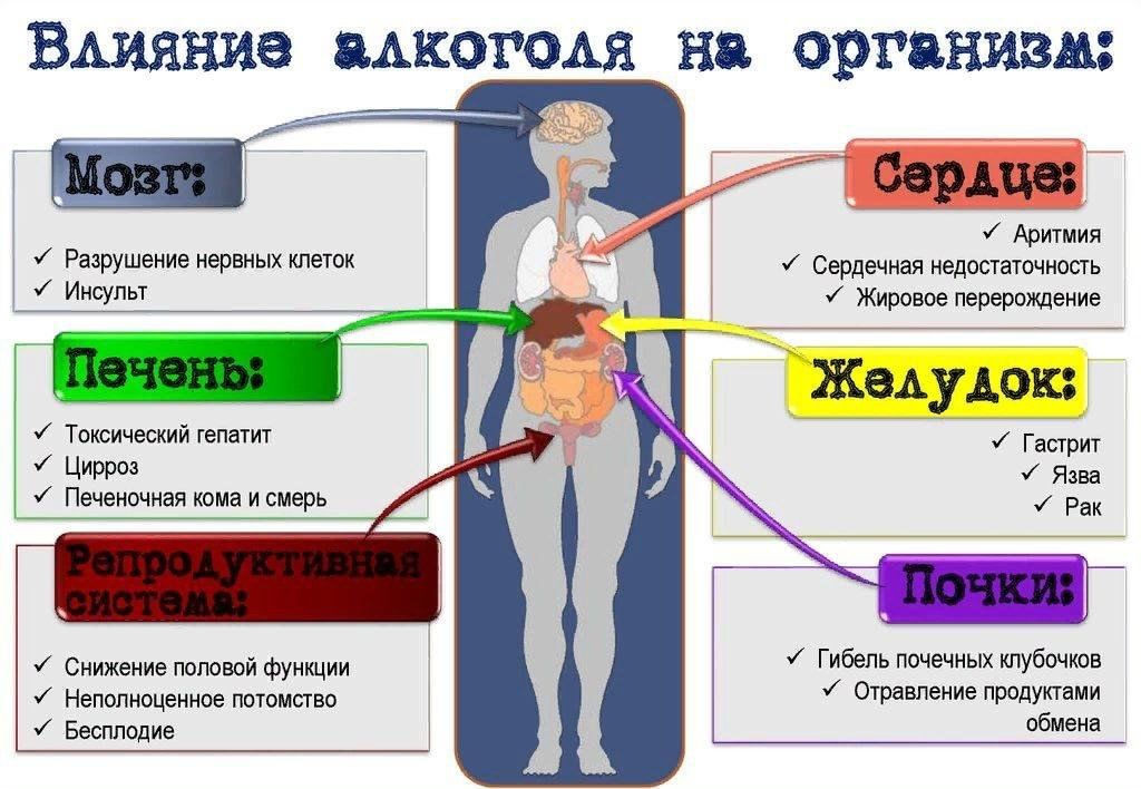 Влияния на них к примеру