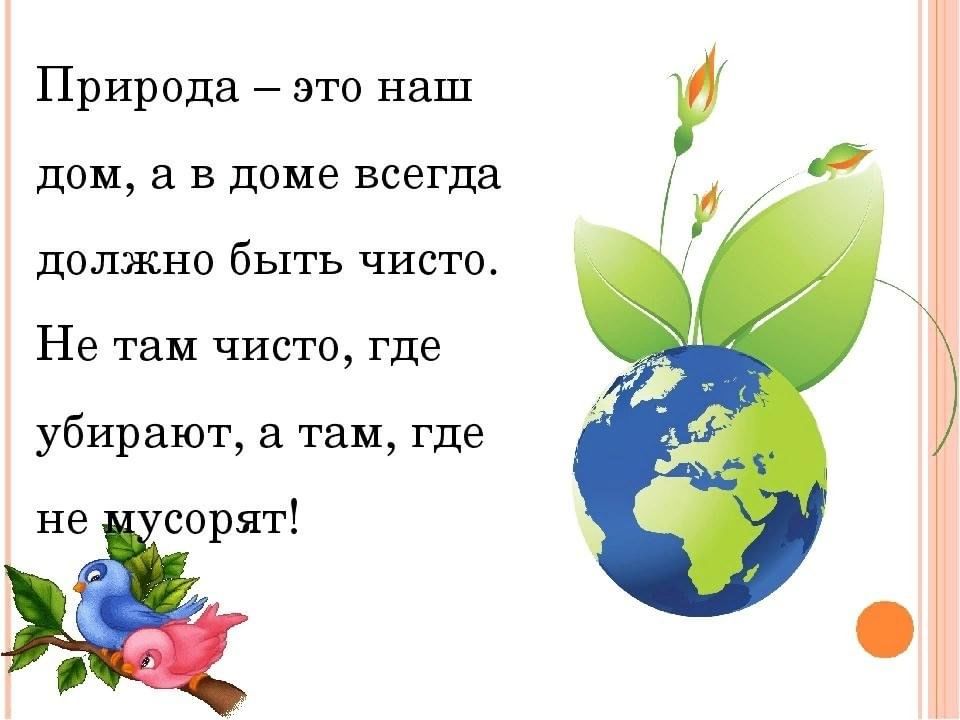 Не там нашел. Чисто не там где убирают а где не сорят. Чисто не там где убирают чисто там где не мусорят. Чисто не там где. Чисто не там где убирают а там где.