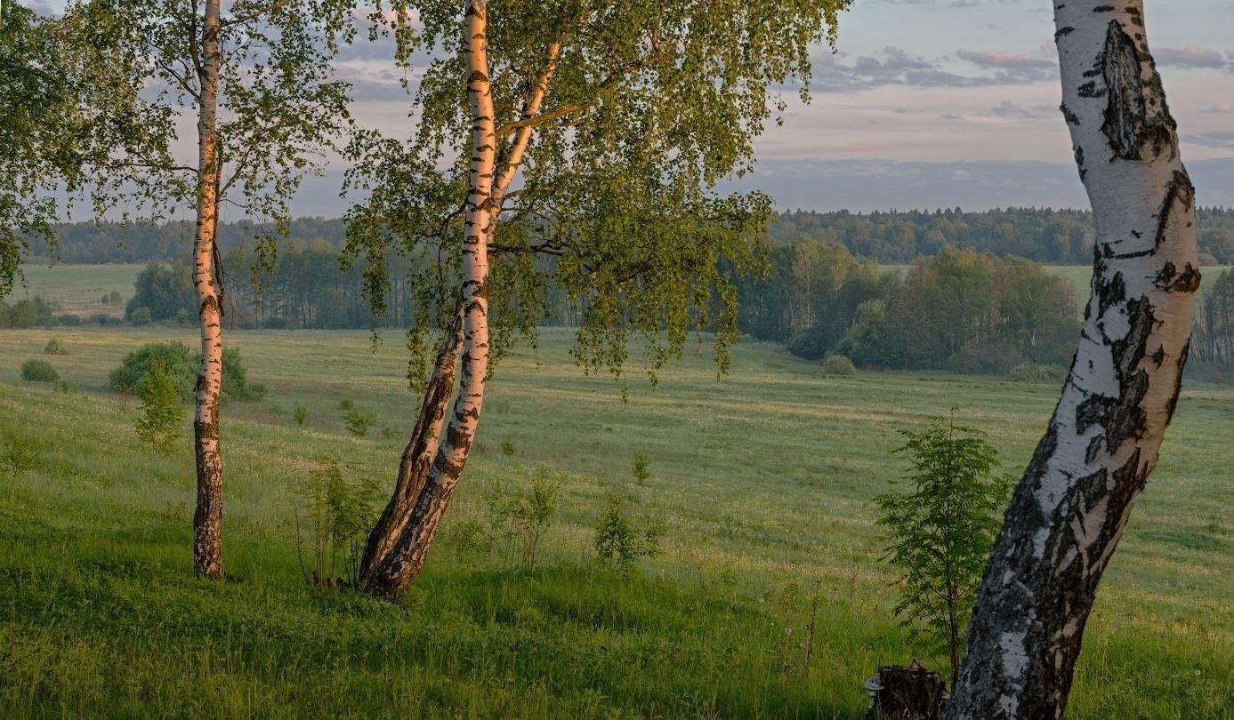 Картинка здесь родины моей начало