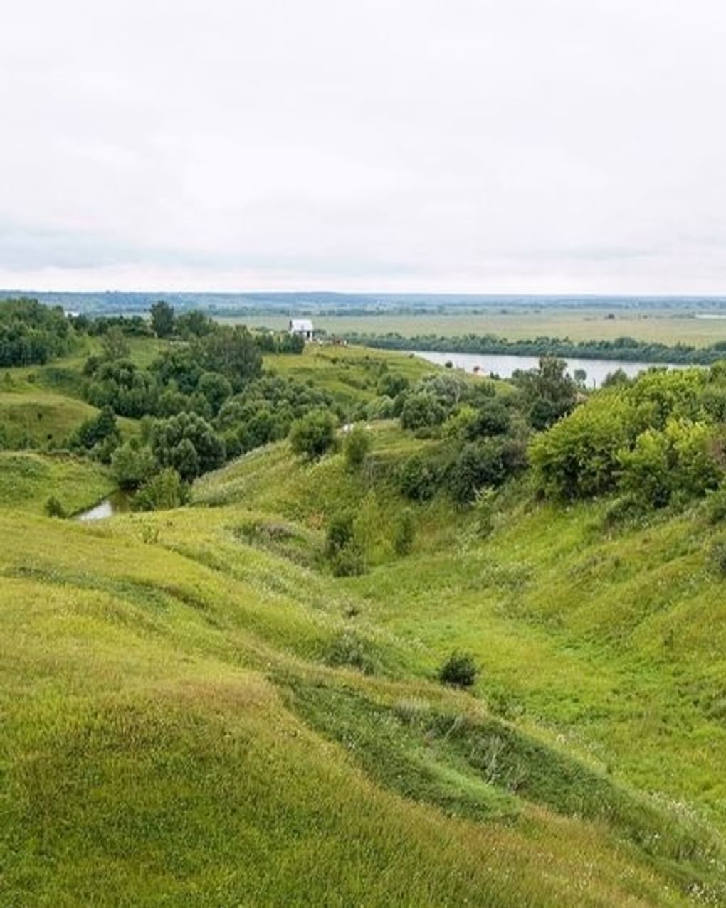 Старая Рязань: остатки рва перед крепостной стеной. Фотография: Владимир Горощенко / фотобанк «Лори»