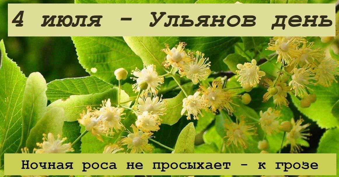 4 июня какой. Ульянов день (Липов цвет). 4 Июля день. 4 Июля праздник Ульянов день. 4 Июля народный календарь.