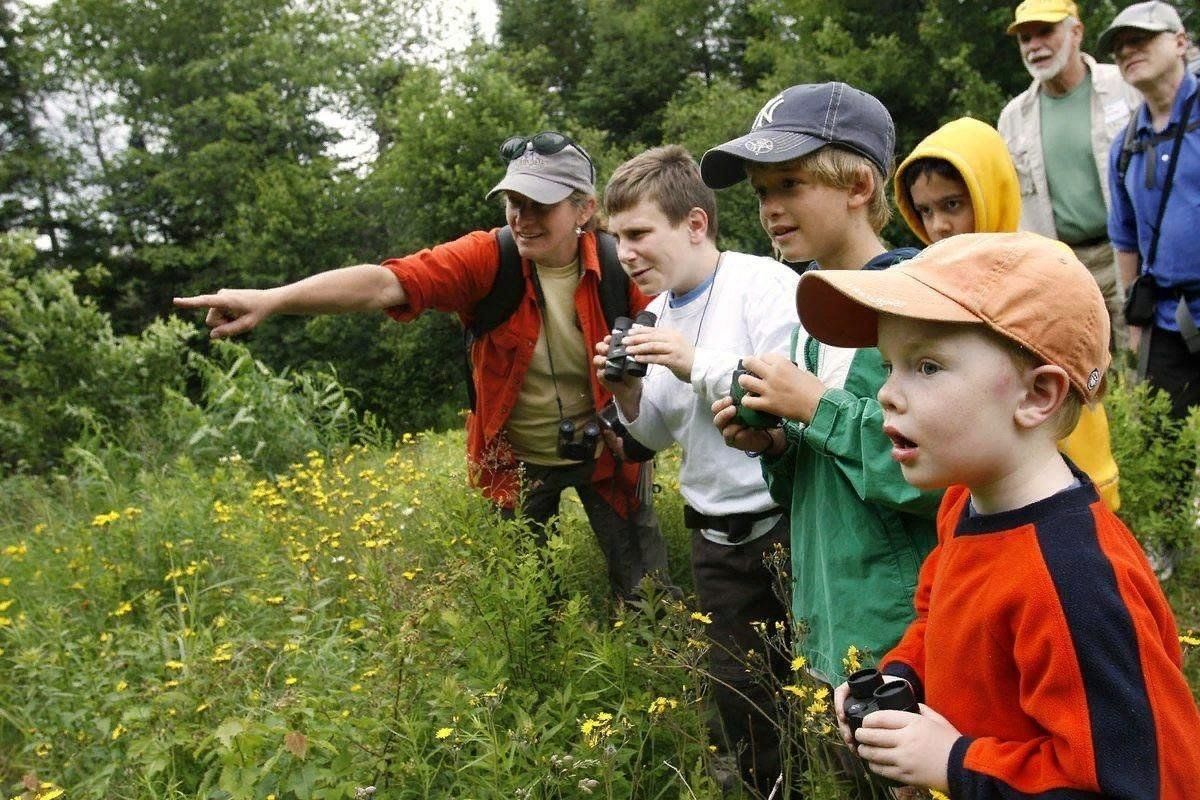 Школьники в лесу