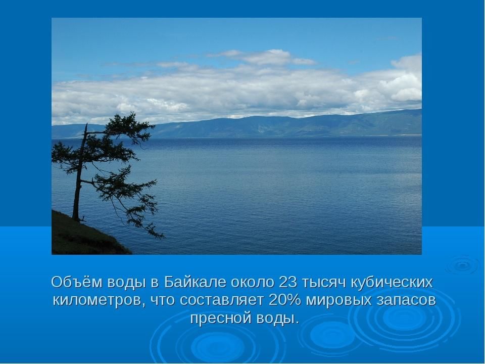 Презентация на тему жемчужина сибири байкал 8 класс