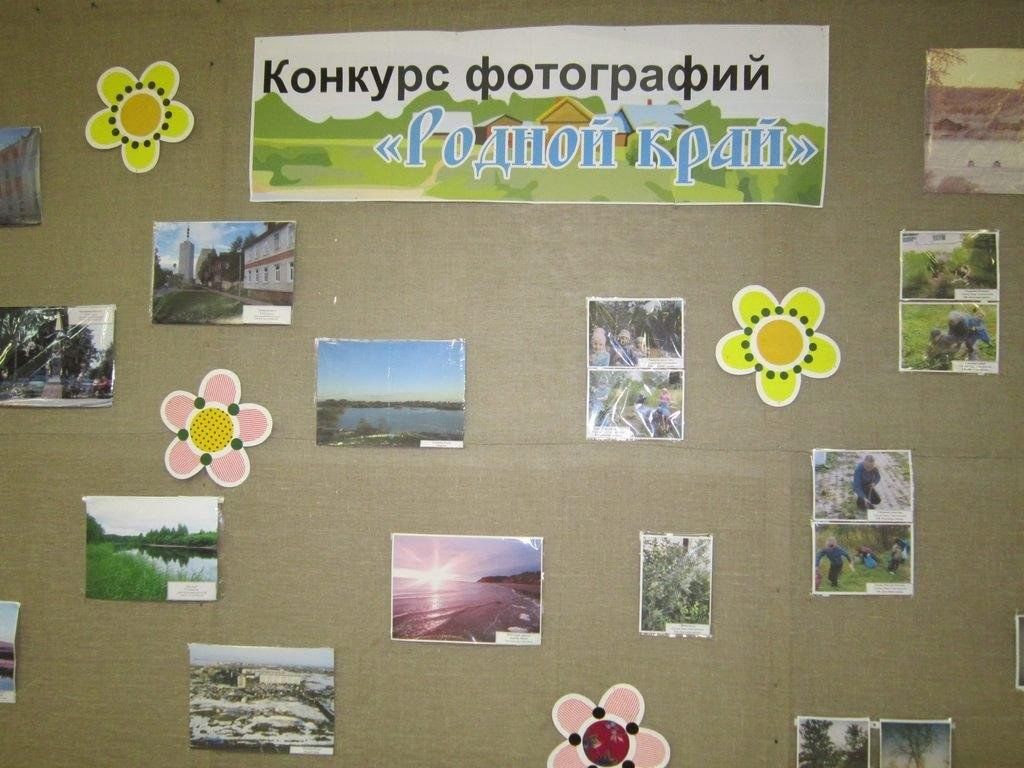 Название фото с природой на конкурс