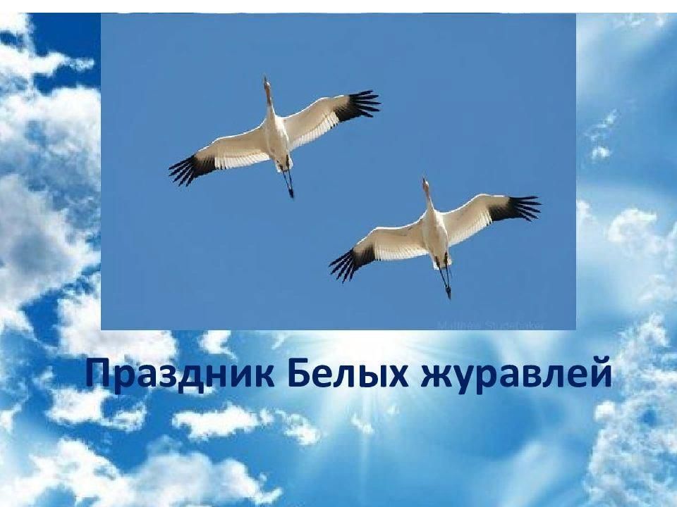 Журавли презентация для детей