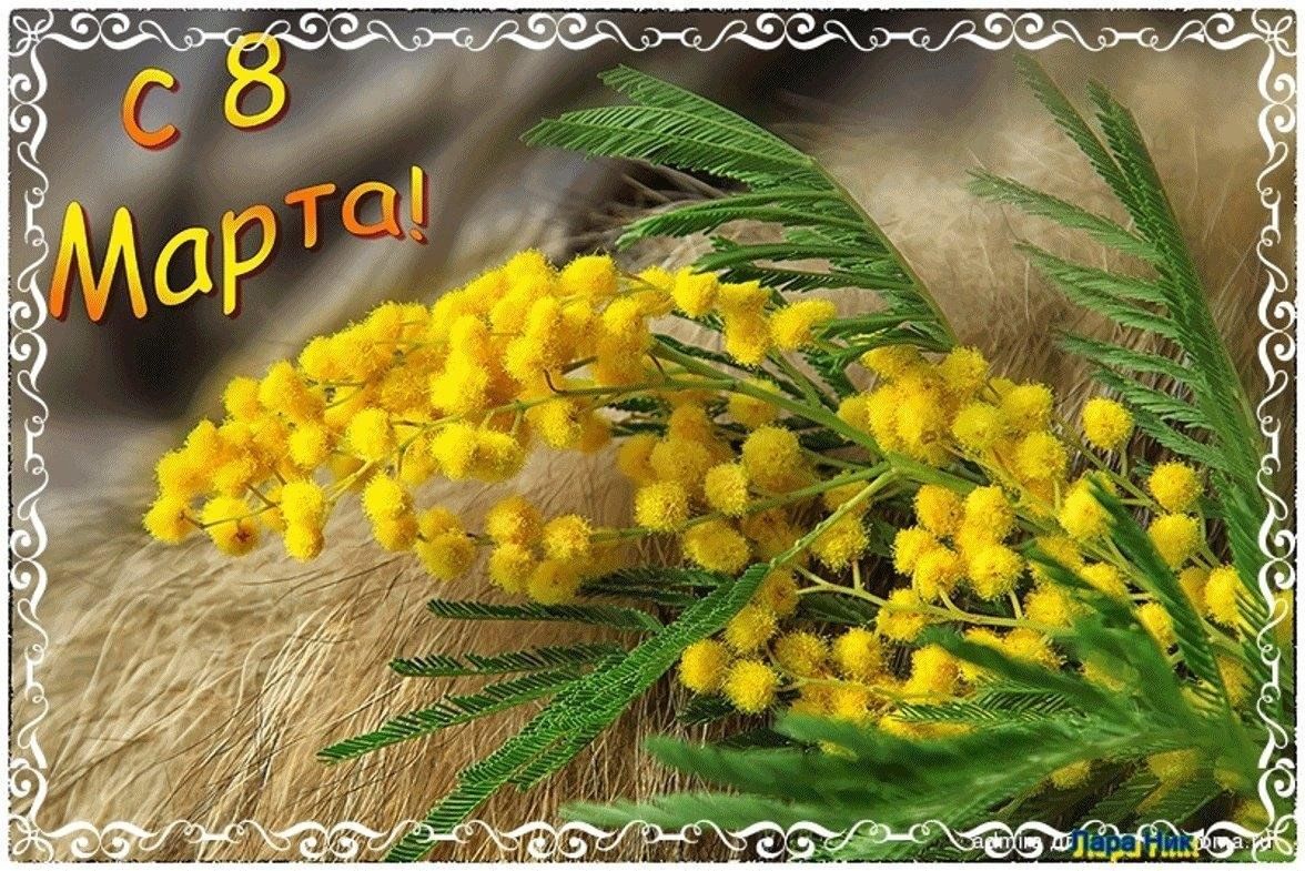 Март фото