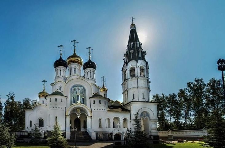 Церковь александра невского д борзые 702 фото