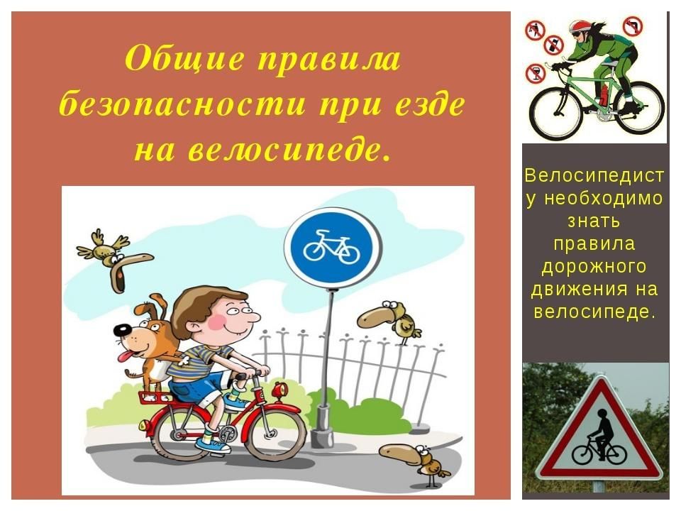 Картинки правила езды на велосипеде
