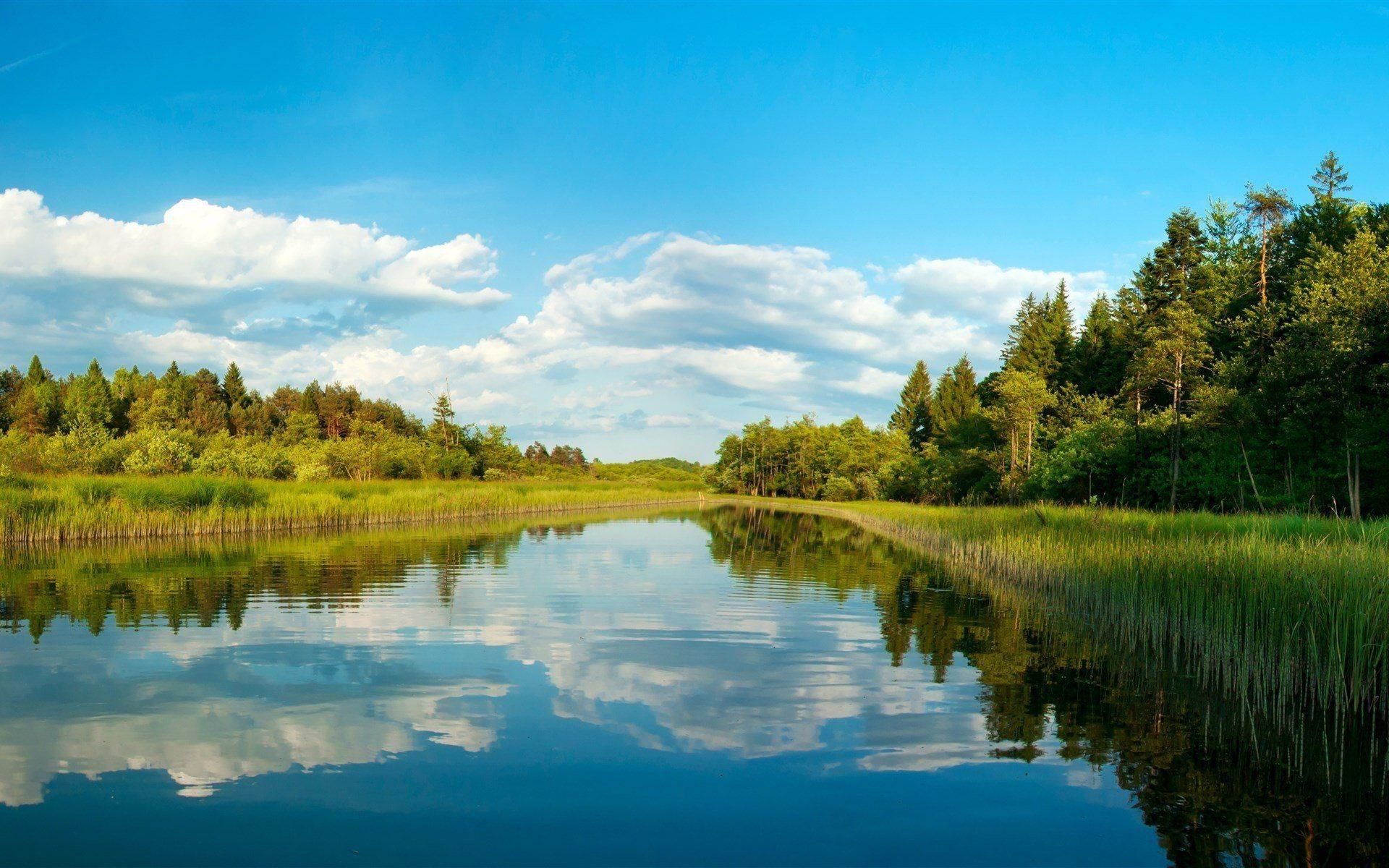 Картинки природы река. Река Людовна. Река Людовна Ленинский район. Пейзаж с рекой. Летний пейзаж.