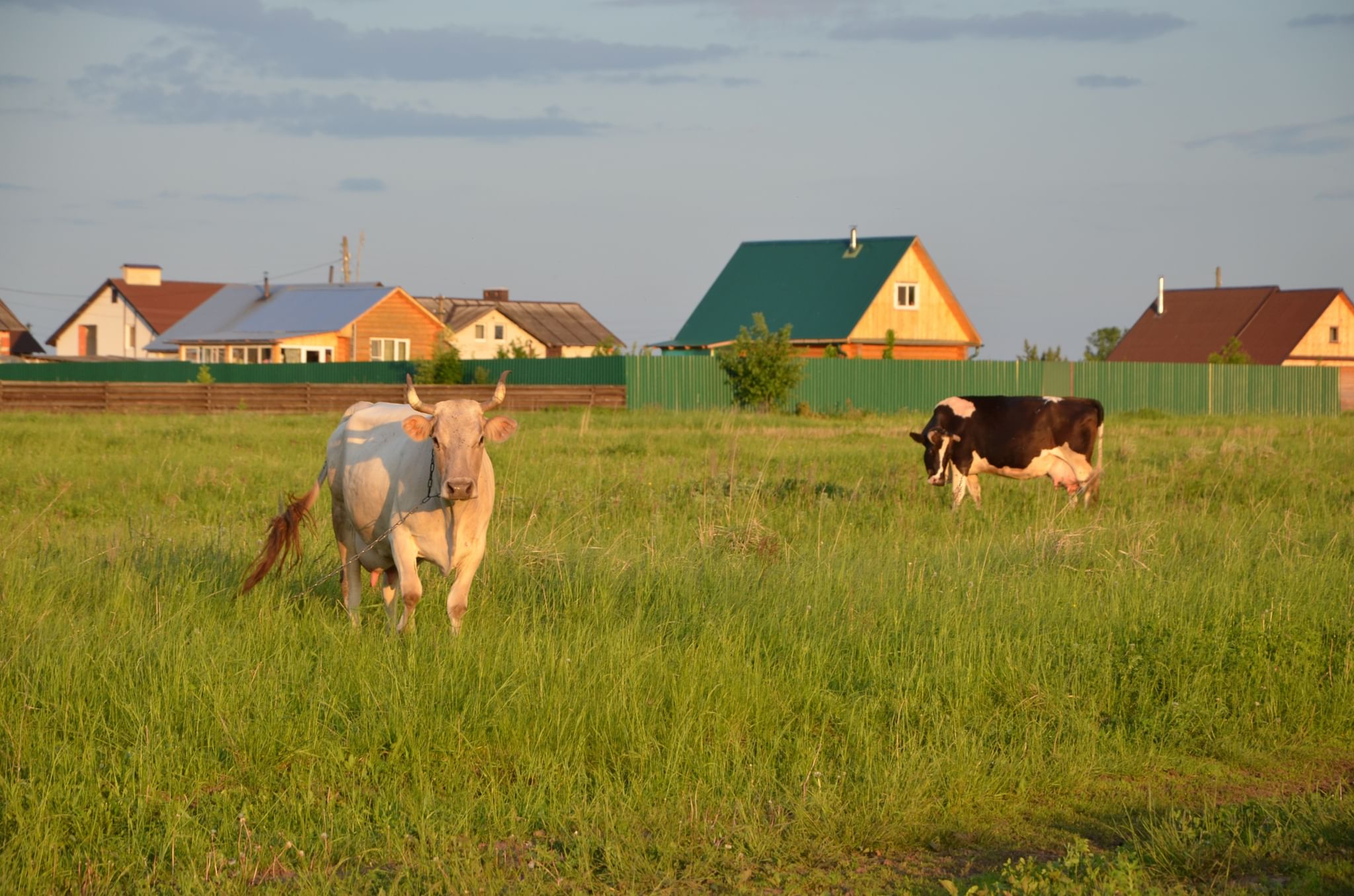 Родные 21. Люблю село родное фото. Фотовыставка «мое родное село» фото.