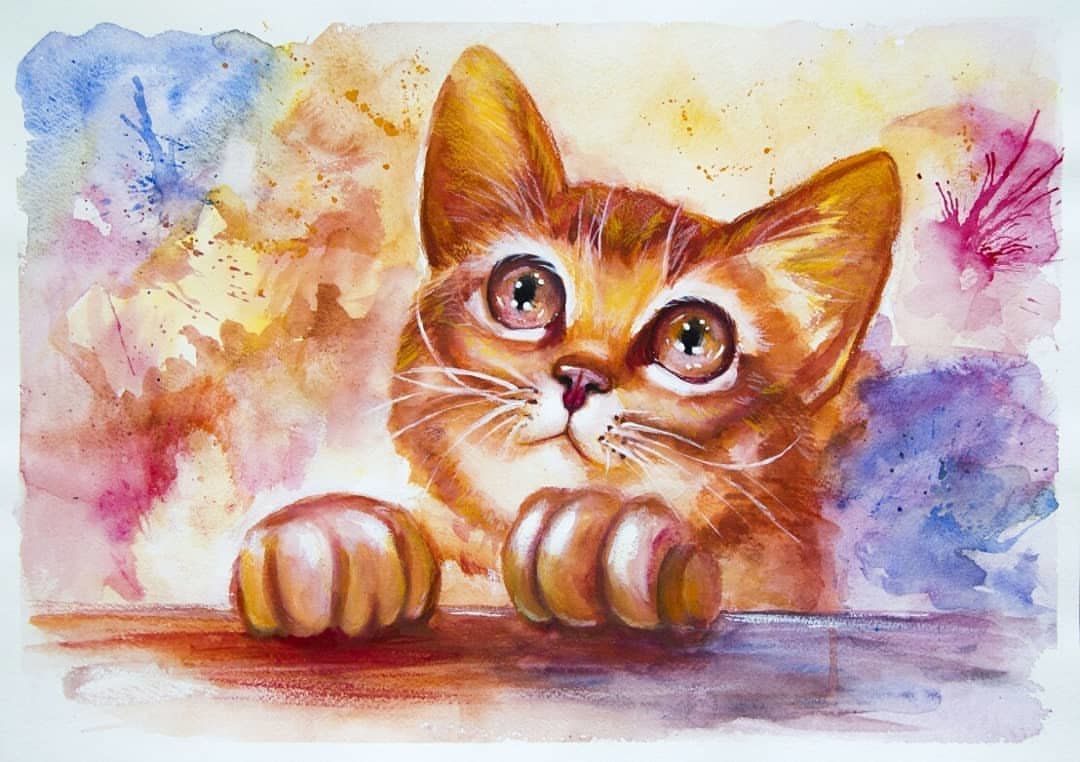 Котики фото картинки нарисованные