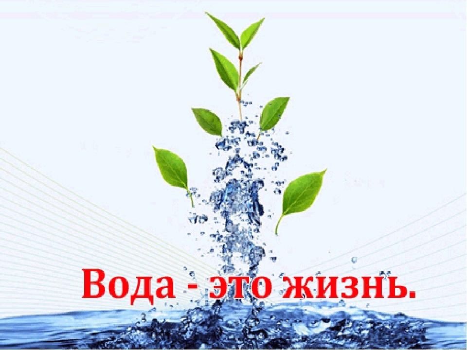 Картинки на тему вода это жизнь