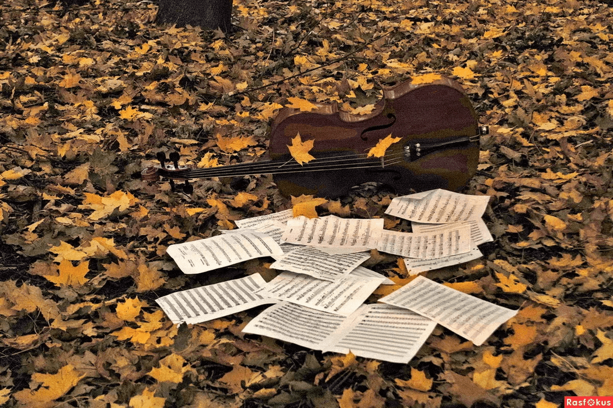 Известные осенние песни. Музыкальные инструменты осень. Скрипка в осенней листве. Гитара в осенних листьях. Скрипка и листья.