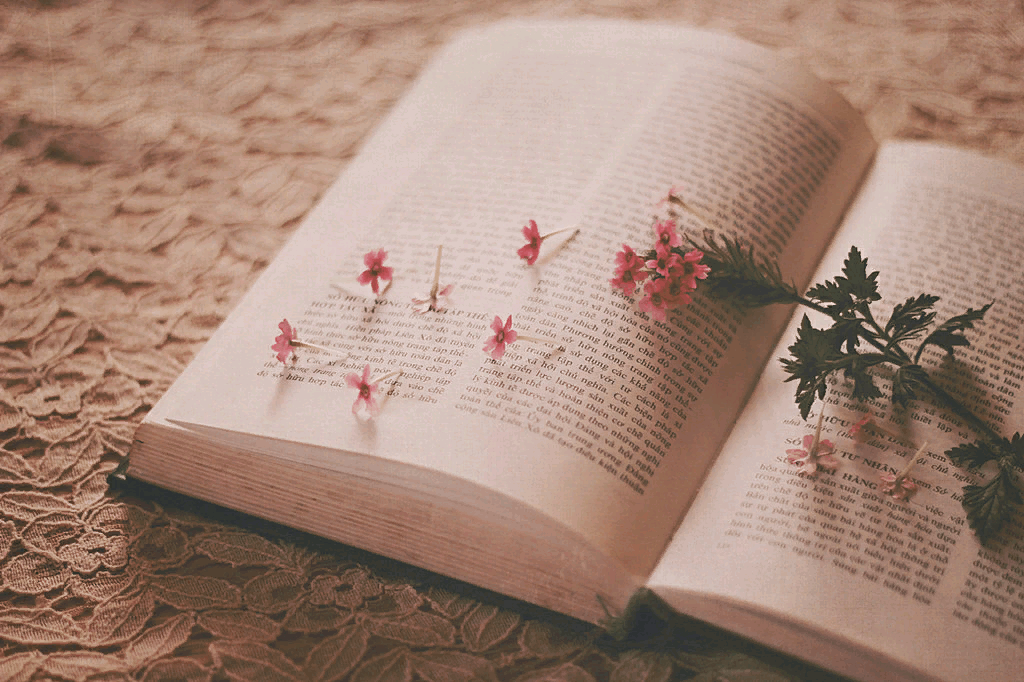 Картинки книги красивые для оформления