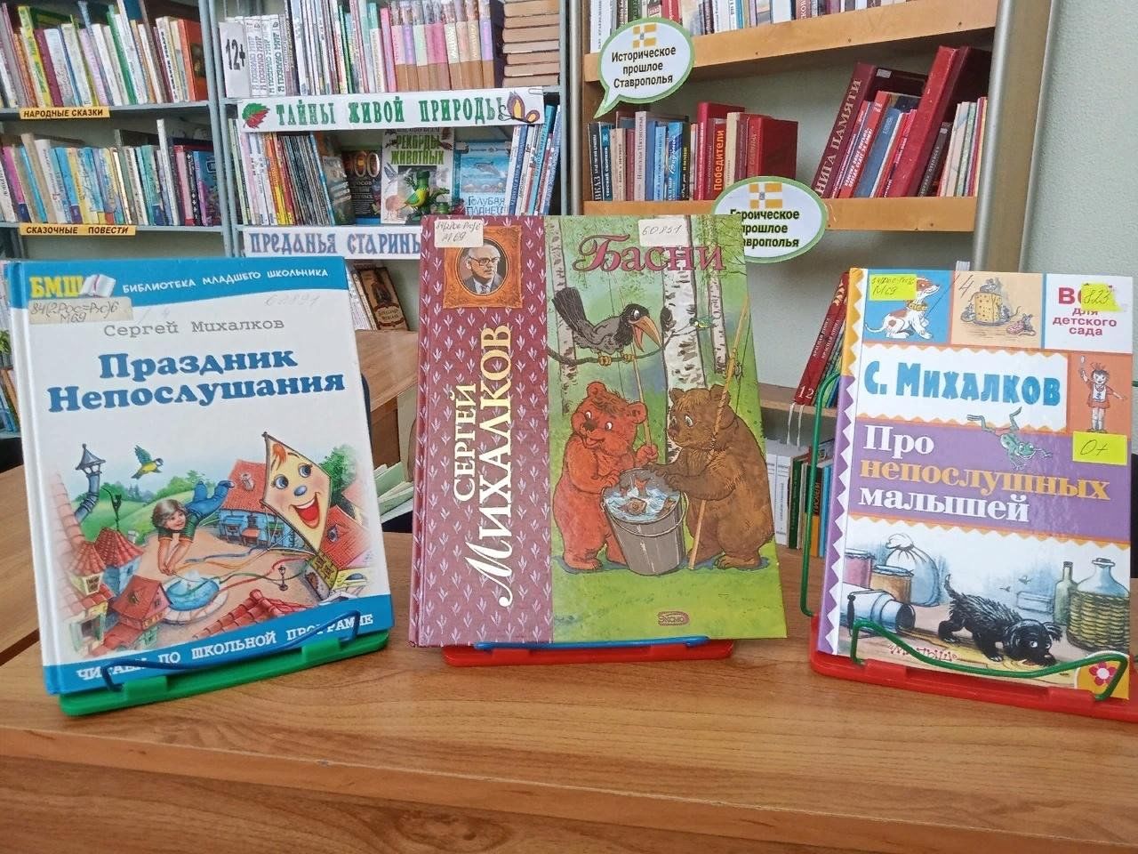 Пазл волшебный книжный шкаф