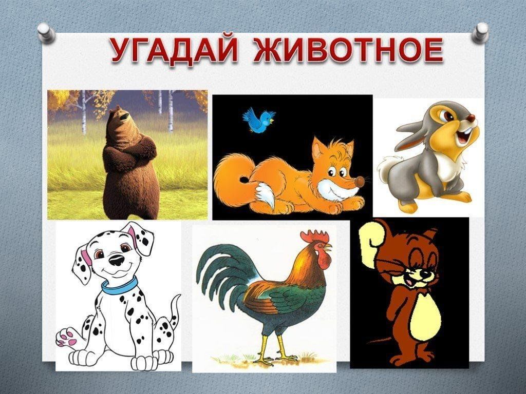 Давай играть угадать. Животные для угадывания. Угадай животное. Угадайка животные. Отгадай зверя.