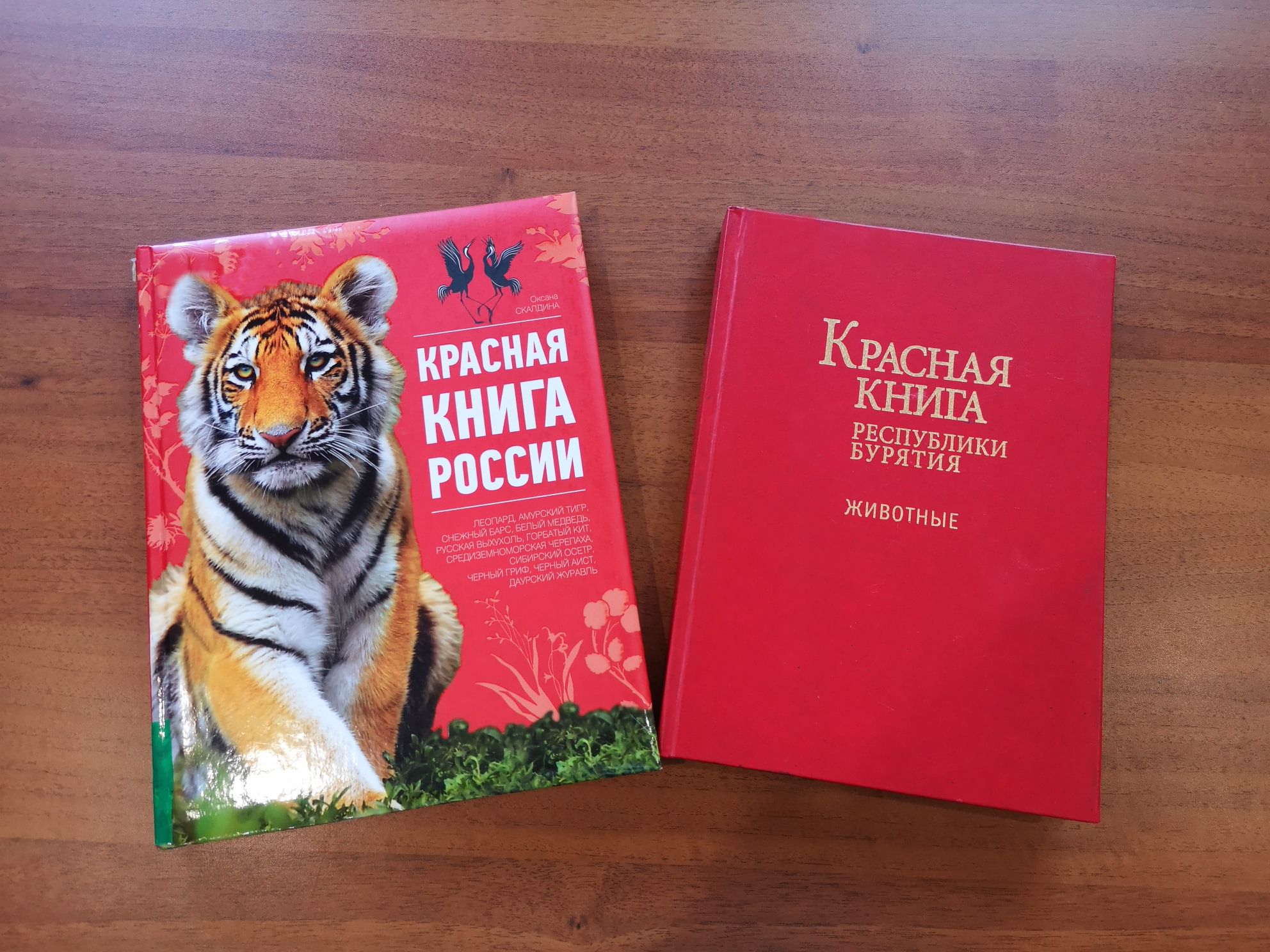 Какая красная книга. Красная книга России. Красная книга России книга. Обложка красной книги России. Животные из красной книги.