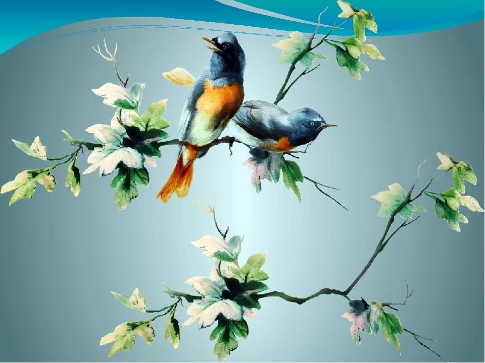 Весенний день птиц. День птиц. Международный день птиц. Птички к Дню птиц. Международный день птиц заставка.