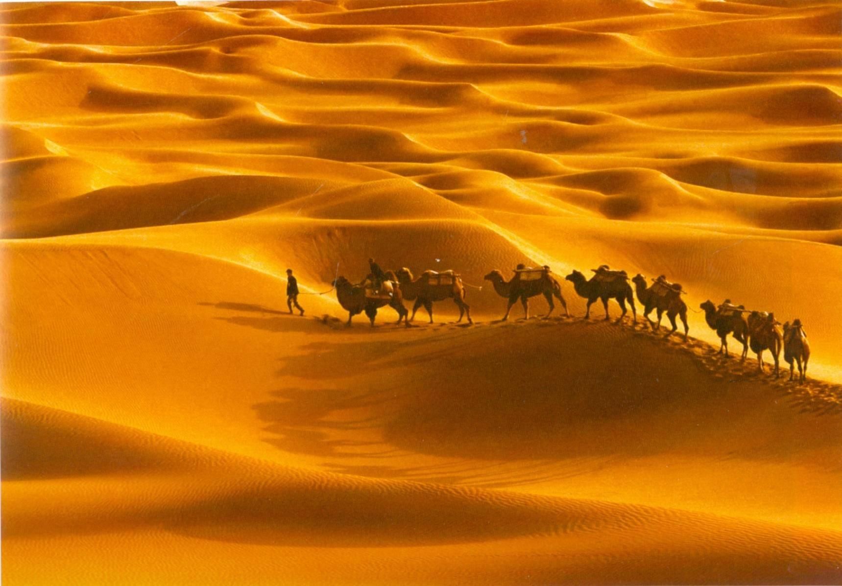 Мой караван без всякого. Пустыня Великий шелковый путь. Великий шелковый путь 2022. Караван шелковый путь 2022. Кербела пустыня.