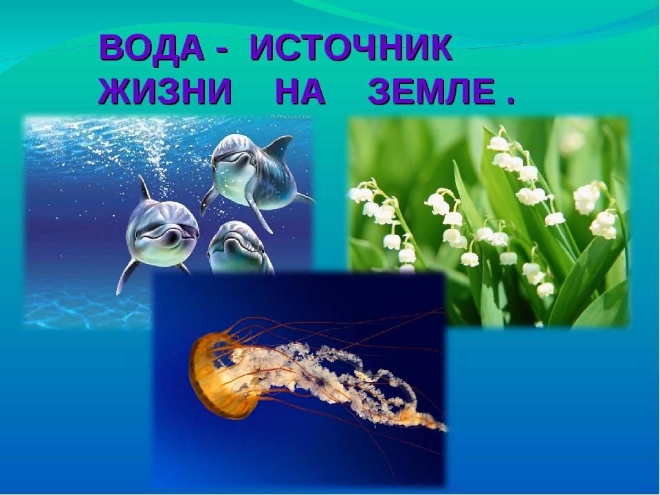 Вода источник жизни картинки для детей
