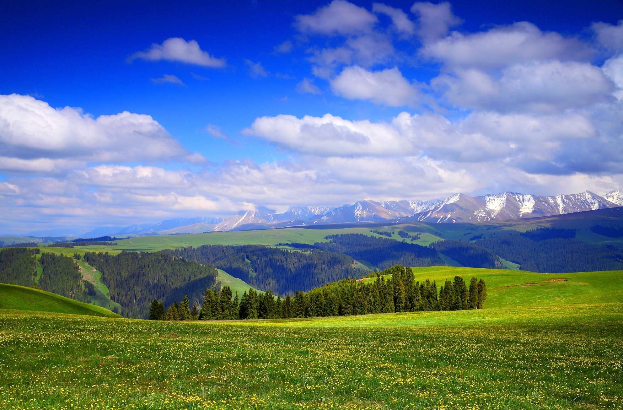 Панорама поле горы