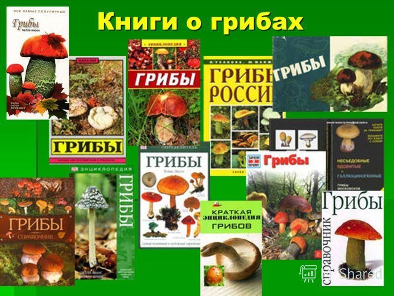 Грибы экзоты проект по биологии 6 класс