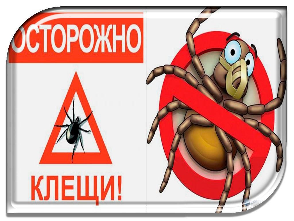 Картинка осторожно клещи для детей