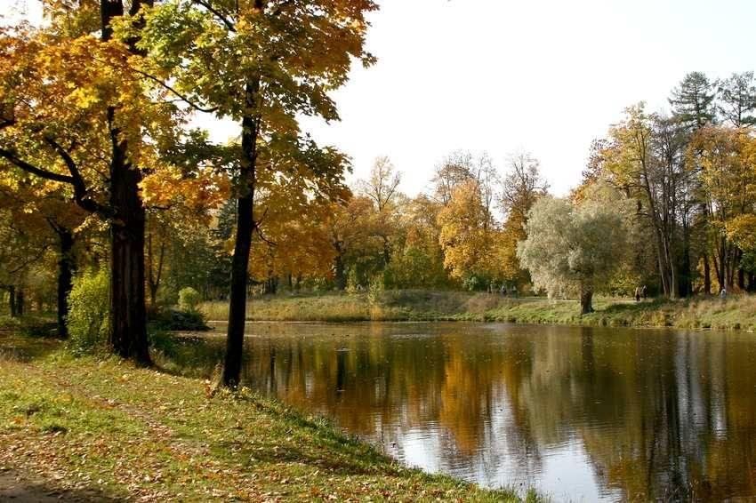 Времена года октябрь. Чайковский октябрь. Картина Чайковского осень.