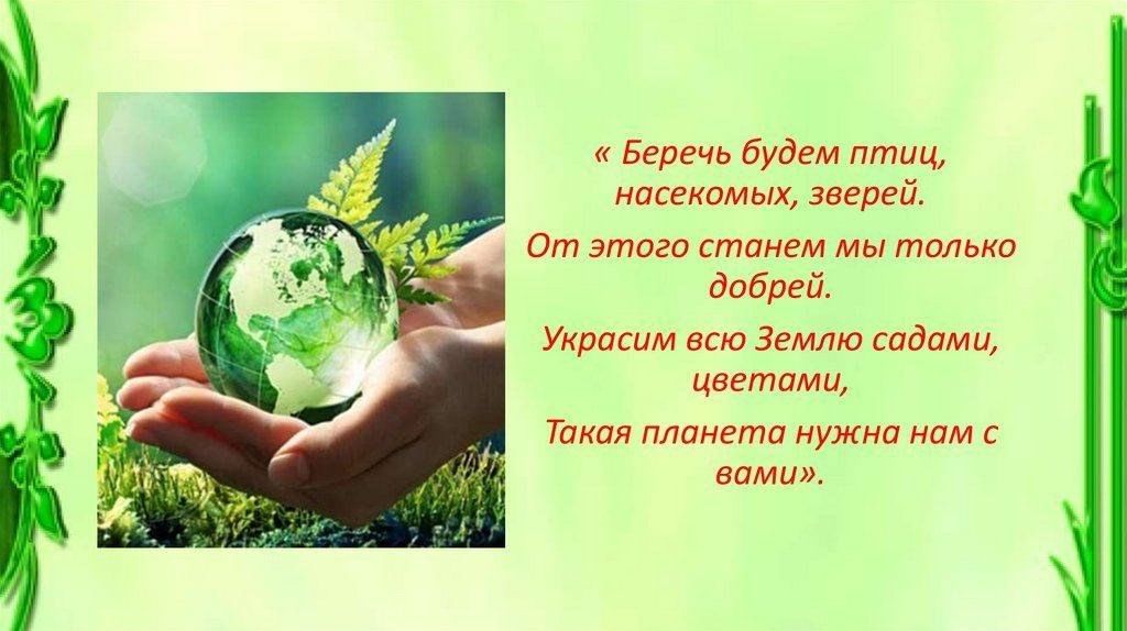 Проект на тему берегите природу 6 класс