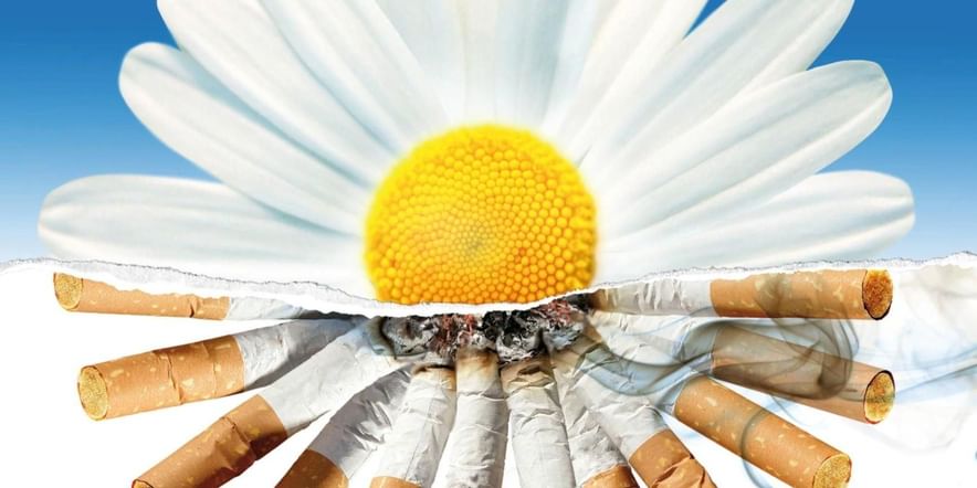 Основное изображение для события «Мир без табачного дыма» беседа — диалог