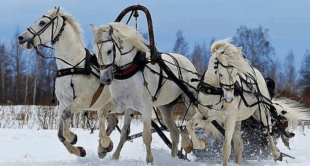 Великая тройка фото Колокольчик над дугой, сани мчатся лихо" Новогодний концерт для детей. 2023, Ряз